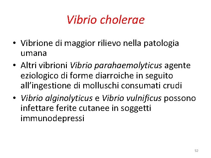 Vibrio cholerae • Vibrione di maggior rilievo nella patologia umana • Altri vibrioni Vibrio Vibrio cholerae • Vibrione di maggior rilievo nella patologia umana • Altri vibrioni Vibrio