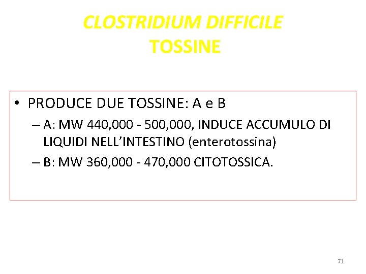 CLOSTRIDIUM DIFFICILE TOSSINE • PRODUCE DUE TOSSINE: A e B – A: MW 440, CLOSTRIDIUM DIFFICILE TOSSINE • PRODUCE DUE TOSSINE: A e B – A: MW 440,