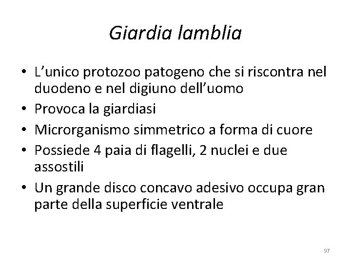 Giardia lamblia • L’unico protozoo patogeno che si riscontra nel duodeno e nel digiuno Giardia lamblia • L’unico protozoo patogeno che si riscontra nel duodeno e nel digiuno