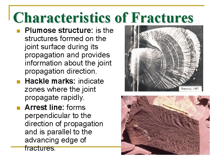 Characteristics of Fractures n n n Plumose structure: is the structures formed on the