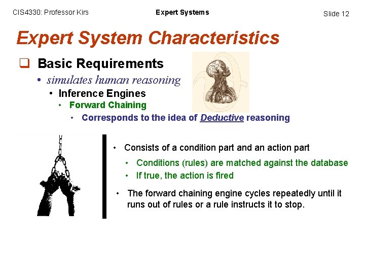 CIS 4330: Professor Kirs Expert Systems Slide 12 Expert System Characteristics q Basic Requirements