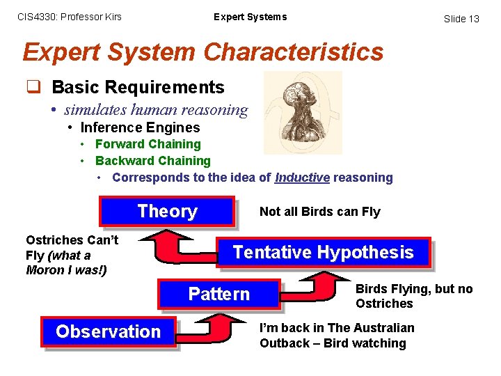 CIS 4330: Professor Kirs Expert Systems Slide 13 Expert System Characteristics q Basic Requirements