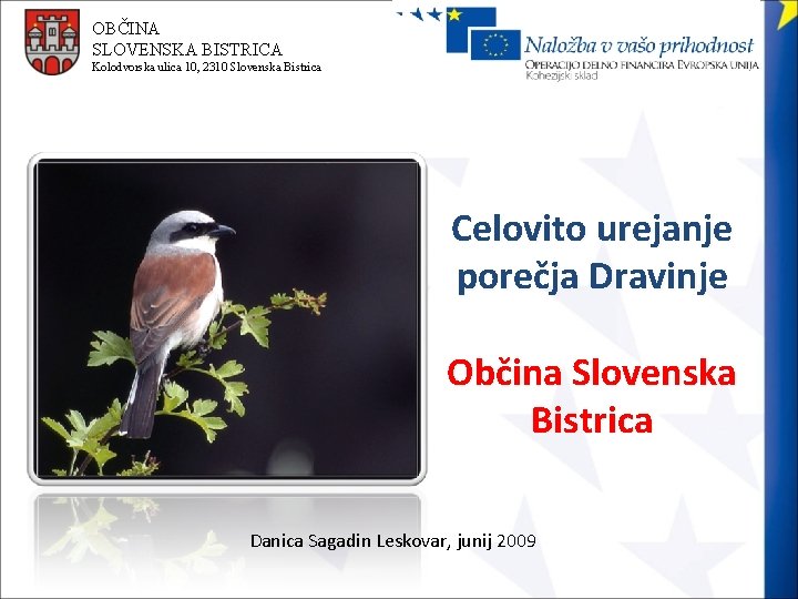 OBČINA SLOVENSKA BISTRICA Kolodvorska ulica 10, 2310 Slovenska Bistrica Celovito urejanje porečja Dravinje Občina