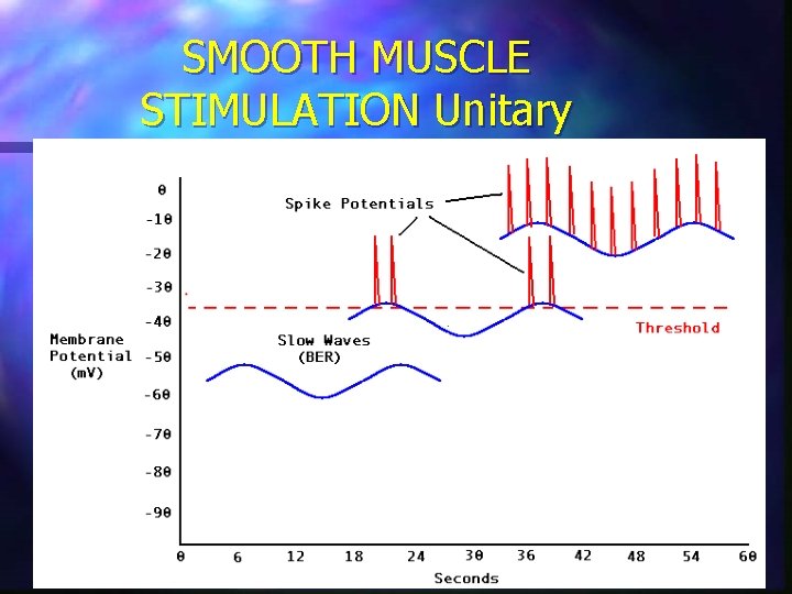 SMOOTH MUSCLE STIMULATION Unitary 