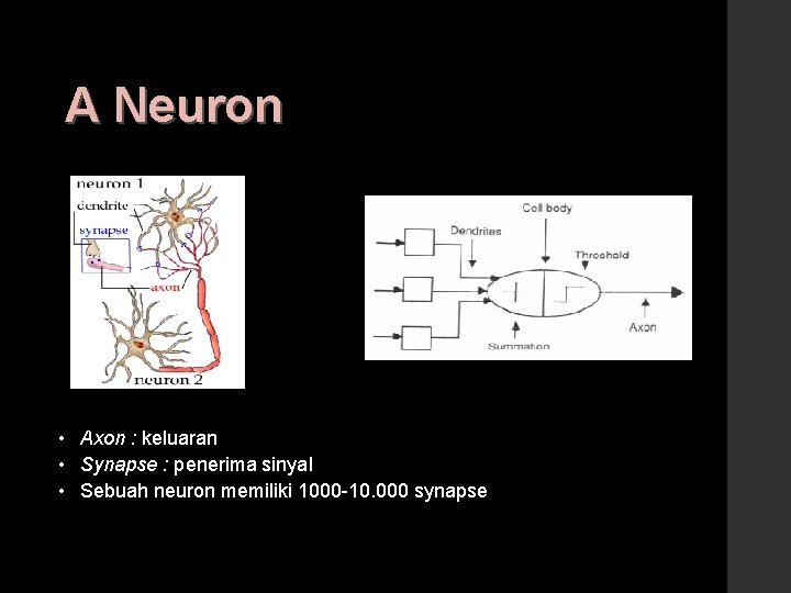 A Neuron • Axon : keluaran • Synapse : penerima sinyal • Sebuah neuron