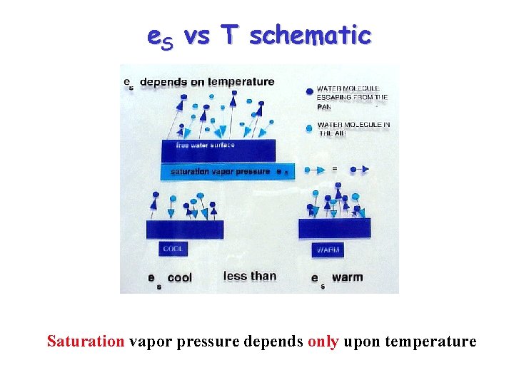 e. S vs T schematic Saturation vapor pressure depends only upon temperature 