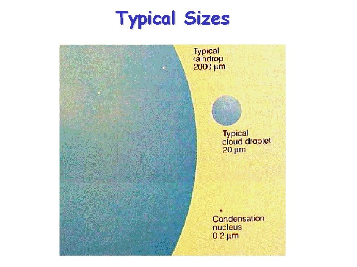 Typical Sizes 