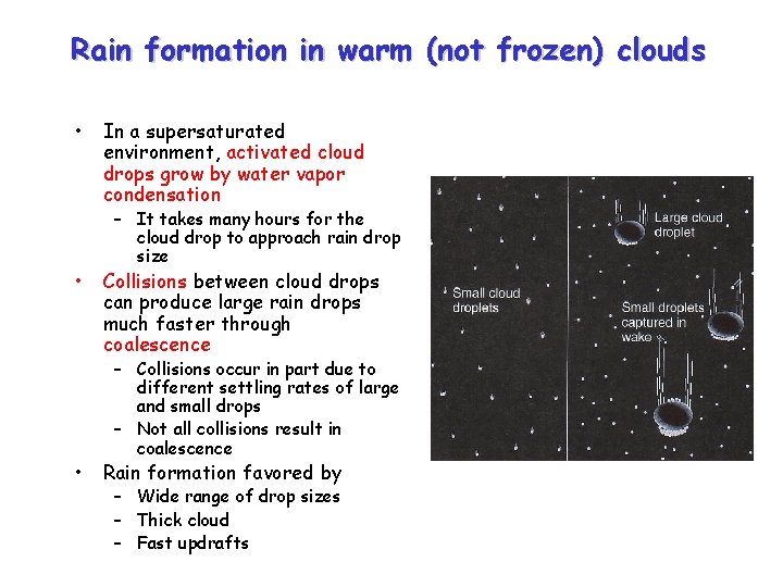 Rain formation in warm (not frozen) clouds • • • In a supersaturated environment,