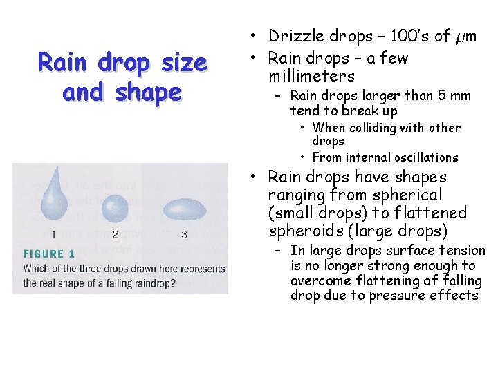 Rain drop size and shape • Drizzle drops – 100’s of µm • Rain