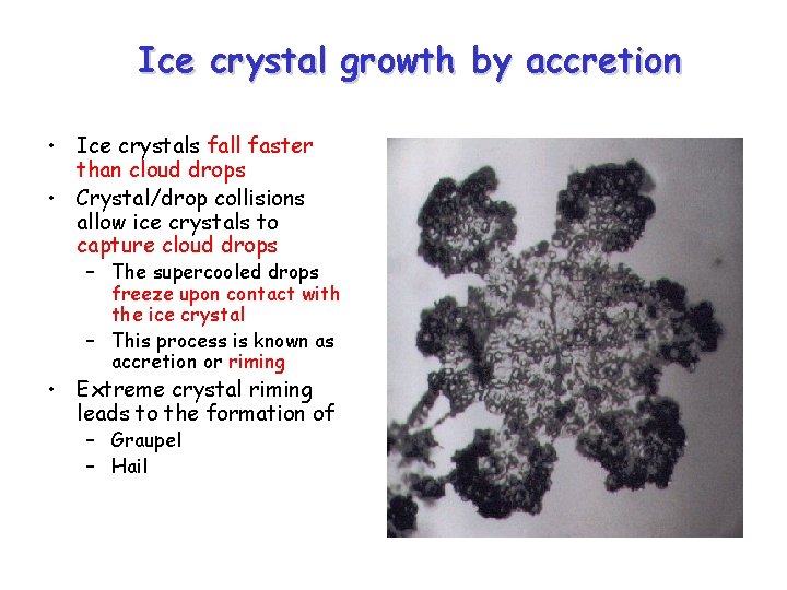Ice crystal growth by accretion • Ice crystals fall faster than cloud drops •