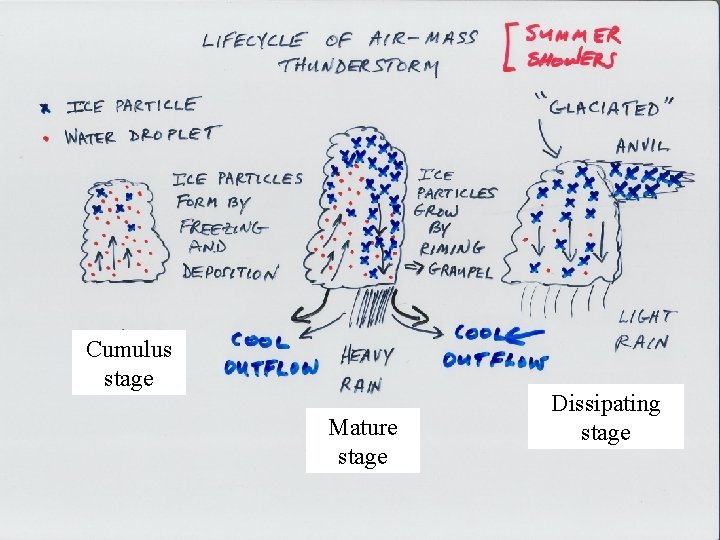 Thunderstorm life cycle Cumulus stage Mature stage Dissipating stage 