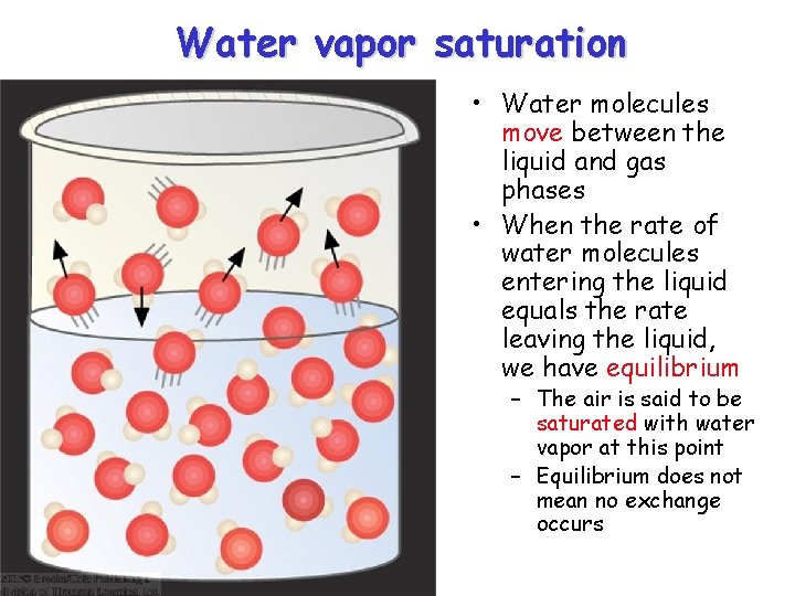 Water vapor saturation • Water molecules move between the liquid and gas phases •