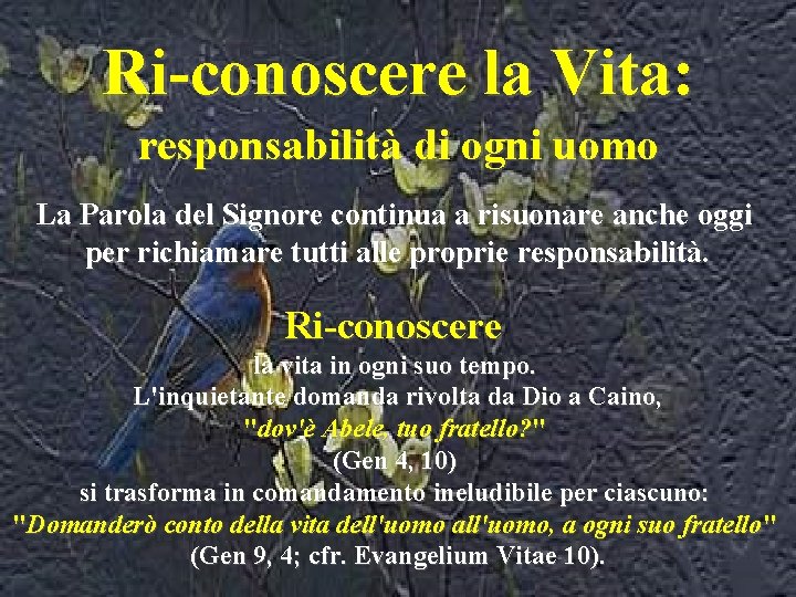 Ri-conoscere la Vita: responsabilità di ogni uomo La Parola del Signore continua a risuonare