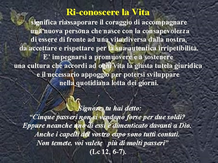 Ri-conoscere la Vita significa riassaporare il coraggio di accompagnare una nuova persona che nasce