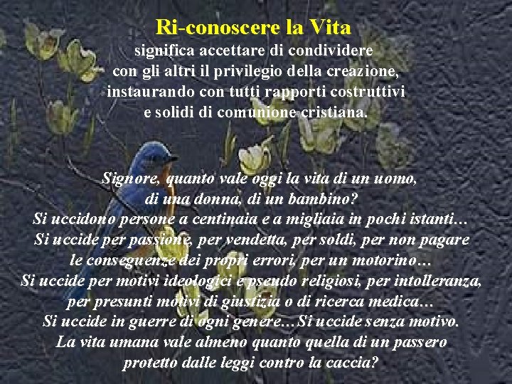 Ri-conoscere la Vita significa accettare di condividere con gli altri il privilegio della creazione,