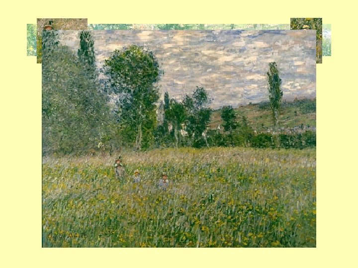 The Meadow 
