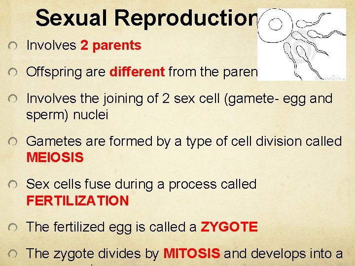 Sexual Reproduction Involves 2 parents Offspring are different from the parents Involves the joining