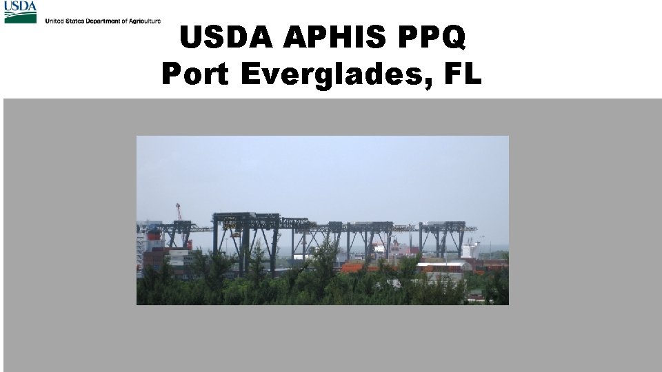 USDA APHIS PPQ Port Everglades, FL 