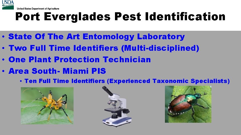Port Everglades Pest Identification • • State Of The Art Entomology Laboratory Two Full