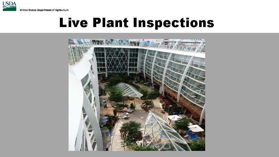 Live Plant Inspections 