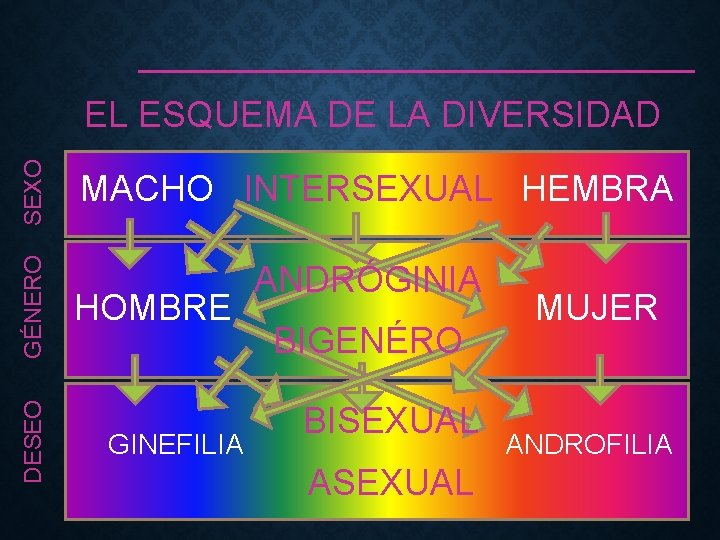 DESEO GÉNERO SEXO EL ESQUEMA DE LA DIVERSIDAD MACHO INTERSEXUAL HEMBRA HOMBRE GINEFILIA ANDRÓGINIA