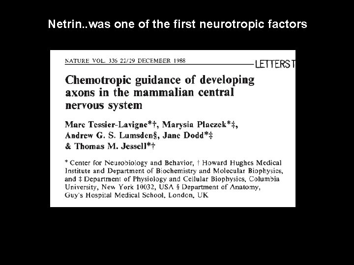 Netrin. . was one of the first neurotropic factors 