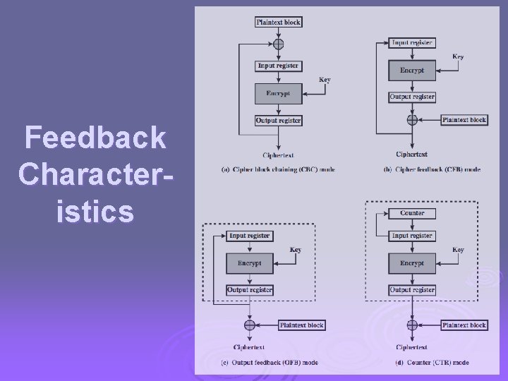 Feedback Characteristics 