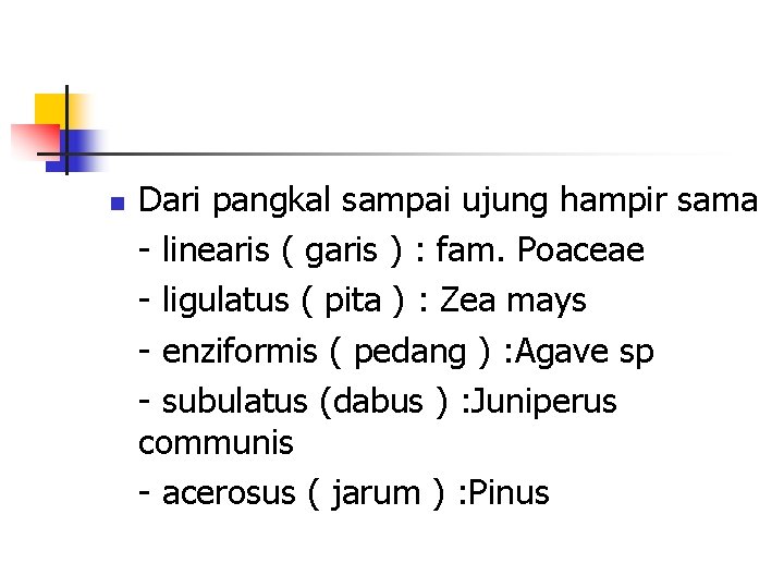 n Dari pangkal sampai ujung hampir sama - linearis ( garis ) : fam.