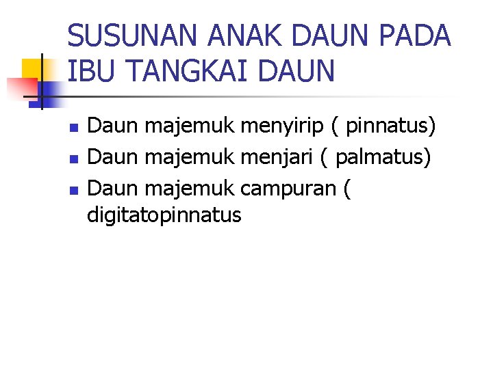 SUSUNAN ANAK DAUN PADA IBU TANGKAI DAUN n n n Daun majemuk menyirip (