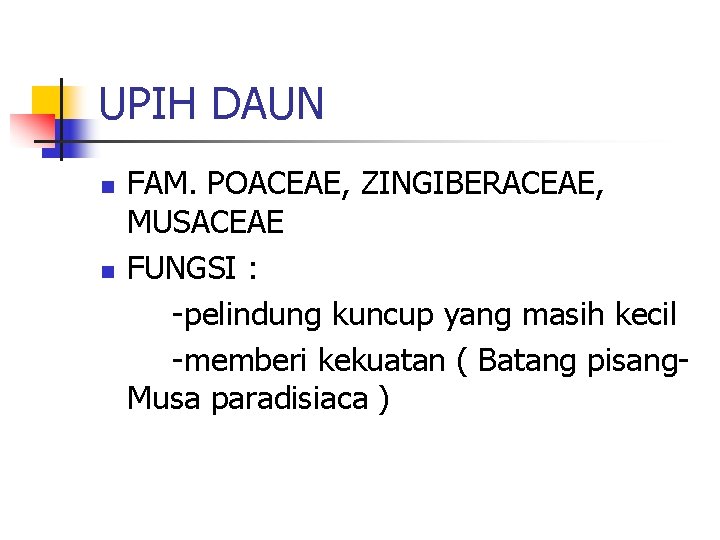 UPIH DAUN n n FAM. POACEAE, ZINGIBERACEAE, MUSACEAE FUNGSI : -pelindung kuncup yang masih