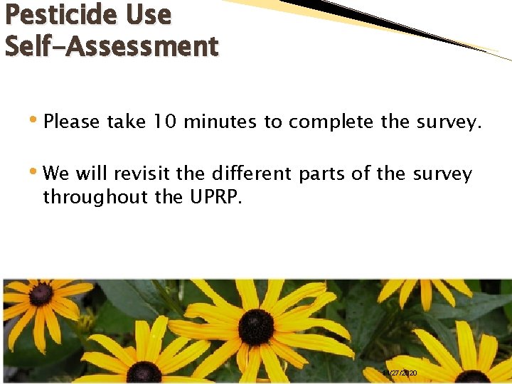 Pesticide Use Self-Assessment • Please take 10 minutes to complete the survey. • We