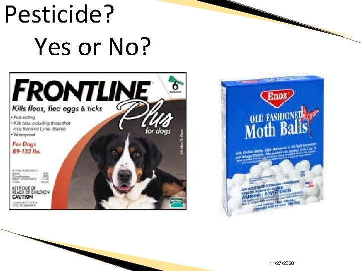 Pesticide? Yes or No? 11/27/2020 