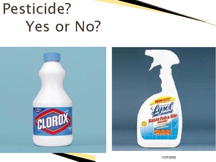 Pesticide? Yes or No? 11/27/2020 