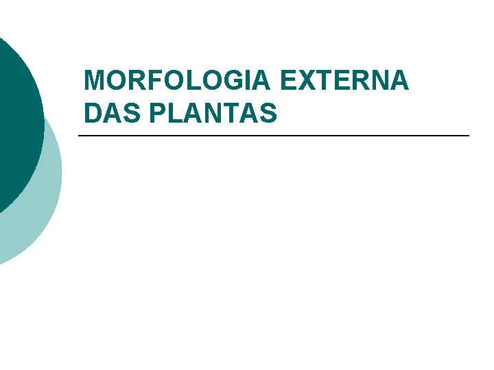 MORFOLOGIA EXTERNA DAS PLANTAS 