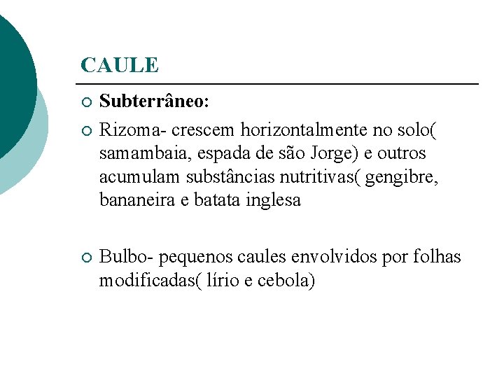 CAULE ¡ ¡ ¡ Subterrâneo: Rizoma- crescem horizontalmente no solo( samambaia, espada de são