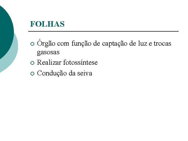 FOLHAS ¡ ¡ ¡ Órgão com função de captação de luz e trocas gasosas