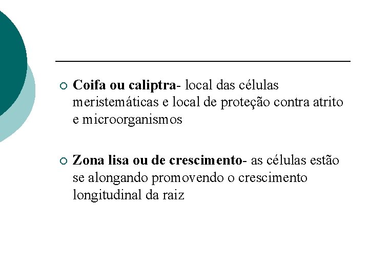 ¡ Coifa ou caliptra- local das células meristemáticas e local de proteção contra atrito