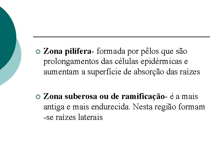 ¡ Zona pilífera- formada por pêlos que são prolongamentos das células epidérmicas e aumentam
