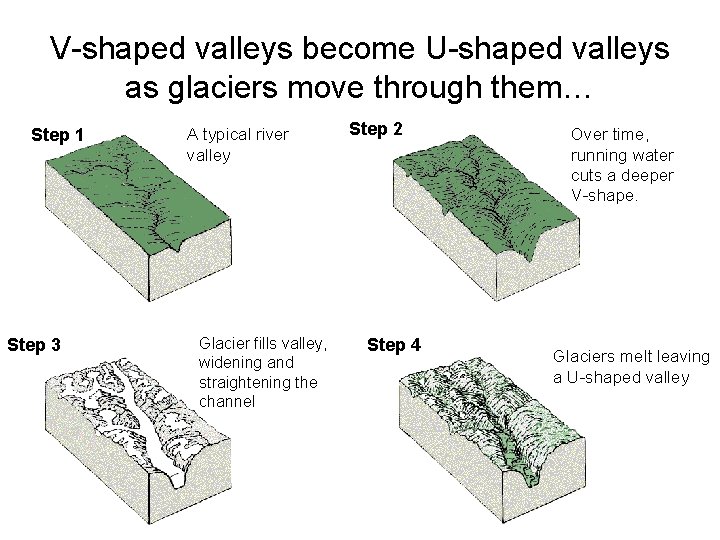 V-shaped valleys become U-shaped valleys as glaciers move through them… Step 1 Step 3 V-shaped valleys become U-shaped valleys as glaciers move through them… Step 1 Step 3