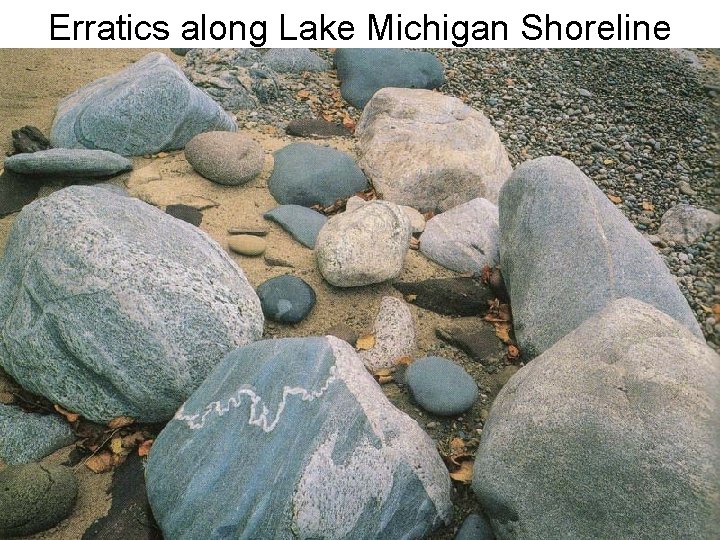 Erratics along Lake Michigan Shoreline Erratics along Lake Michigan Shoreline