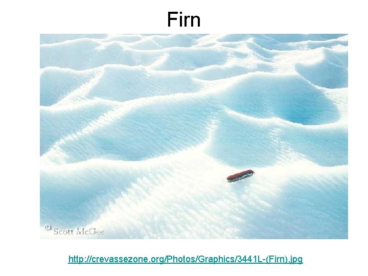 Firn http: //crevassezone. org/Photos/Graphics/3441 L-(Firn). jpg Firn http: //crevassezone. org/Photos/Graphics/3441 L-(Firn). jpg