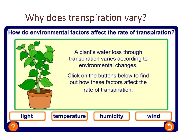 Why does transpiration vary? 