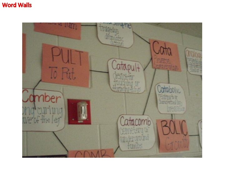 Word Walls Word Walls