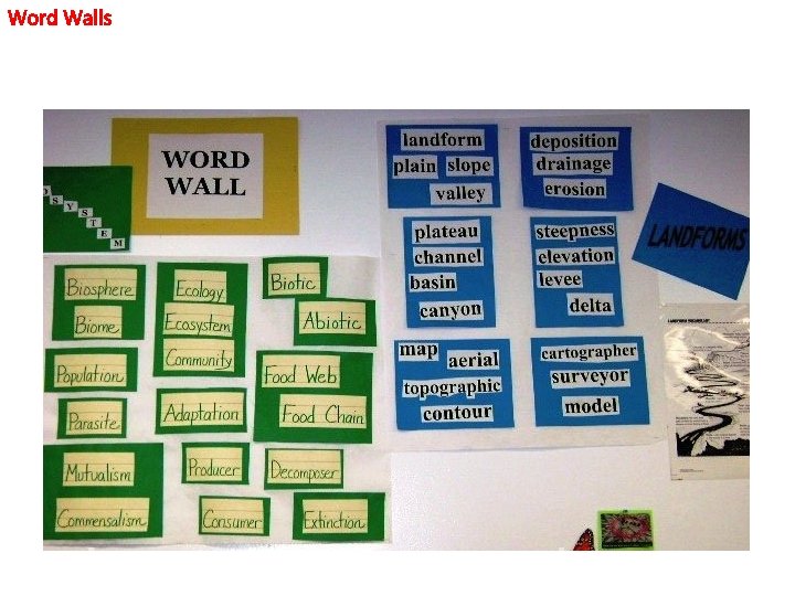 Word Walls Word Walls