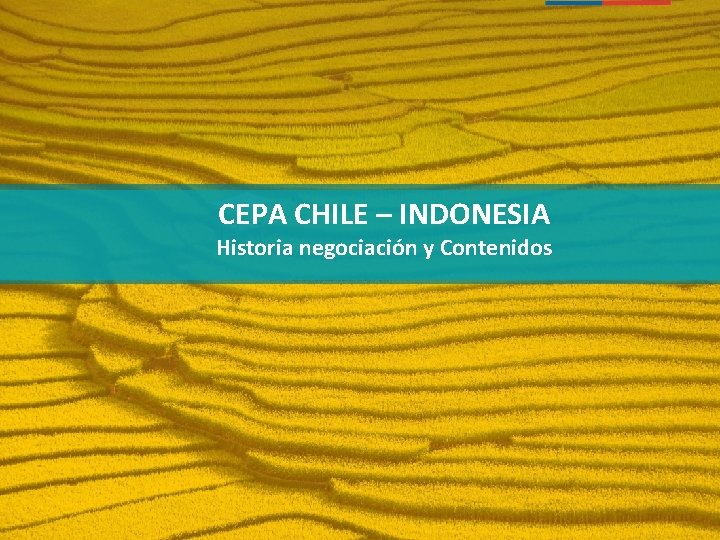 CEPA CHILE – INDONESIA Historia negociación y Contenidos CEPA CHILE – INDONESIA Historia negociación y Contenidos