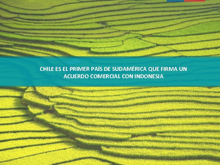 CHILE ES EL PRIMER PAÍS DE SUDAMÉRICA QUE FIRMA UN ACUERDO COMERCIAL CON INDONESIA CHILE ES EL PRIMER PAÍS DE SUDAMÉRICA QUE FIRMA UN ACUERDO COMERCIAL CON INDONESIA