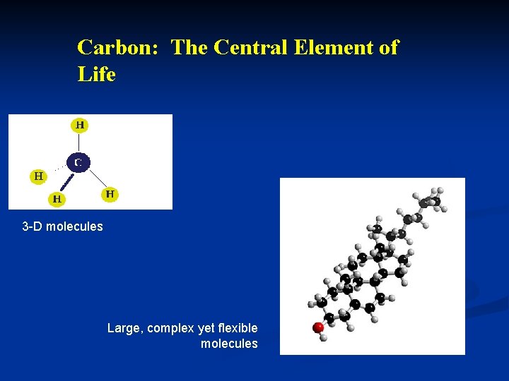 Carbon: The Central Element of Life 3 -D molecules Large, complex yet flexible molecules