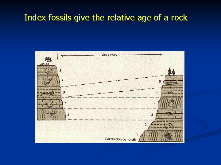 Index fossils give the relative age of a rock 