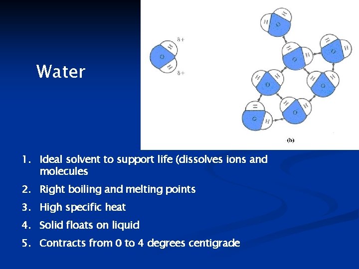 Water 1. Ideal solvent to support life (dissolves ions and molecules 2. Right boiling