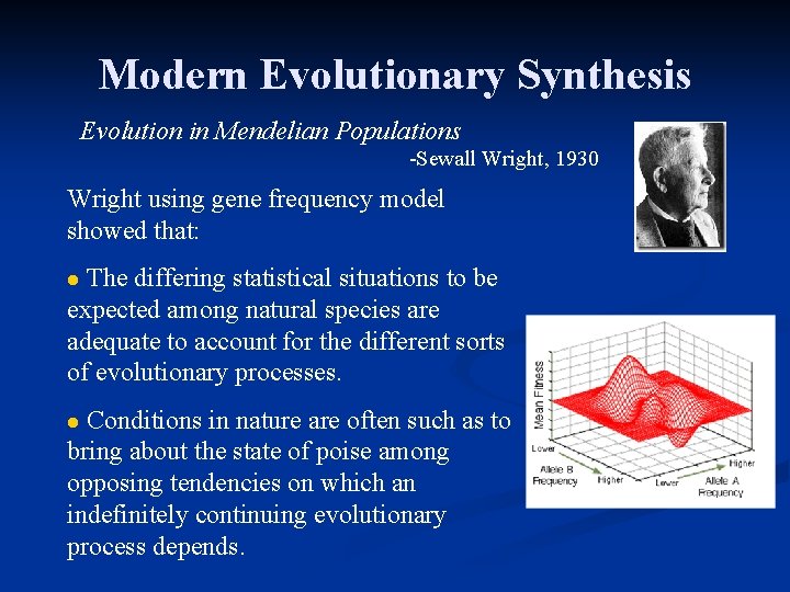 Modern Evolutionary Synthesis Evolution in Mendelian Populations -Sewall Wright, 1930 Wright using gene frequency